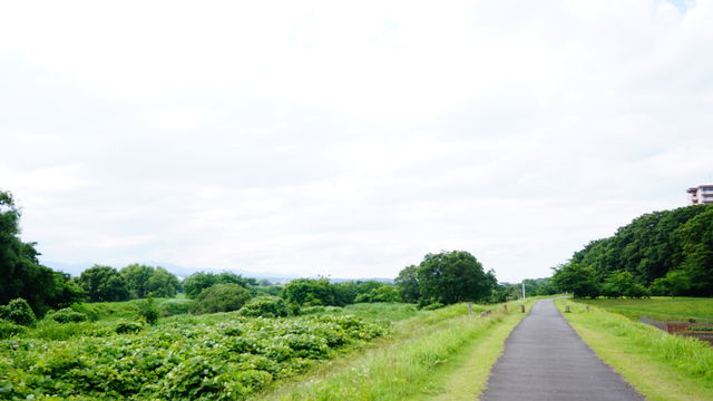 5A09179C-E602-41B7-9273-166C18BDA5E1
