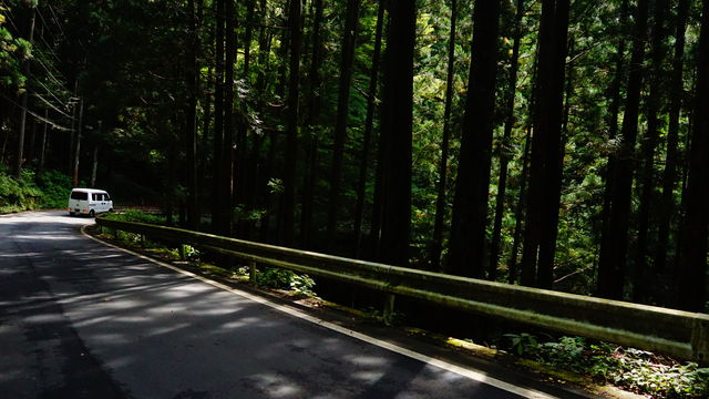 LRG_DSC04396