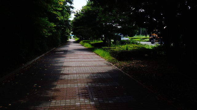 653D8423-82F4-402F-93D1-B219A9710930