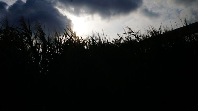 A858ECB1-4993-42E8-AF7E-1E14785414B2