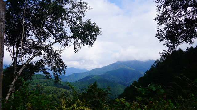 LRG_DSC04344