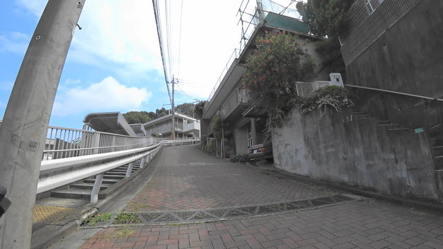 MAH03406 (5)