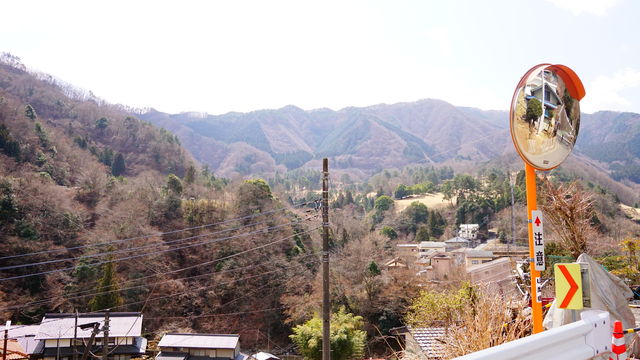 ORG_DSC07115