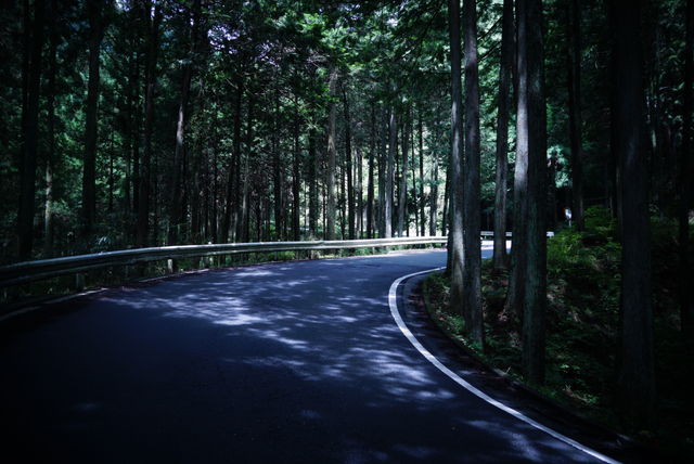 8B366E13-06E3-428E-A0AB-7C9810C6E87B
