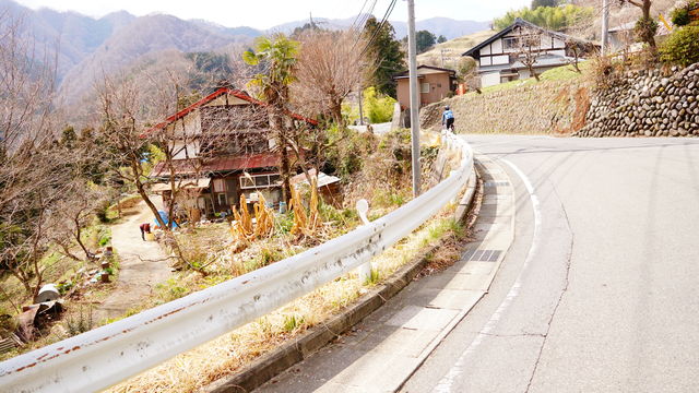 ORG_DSC07102