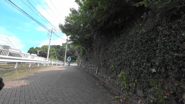 MAH03406 (8)
