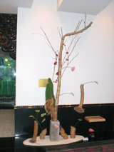 2009枯竹