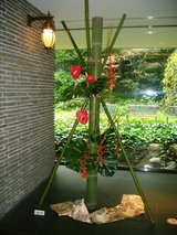 2007孟宗竹