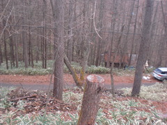 CIMG4544