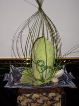 2006白菜