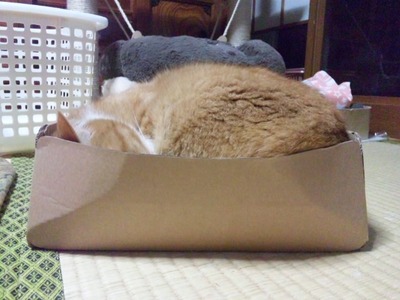 SH3L0512