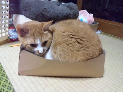 SH3L0507