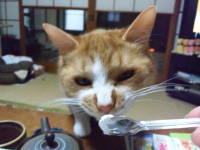 SH3L0460