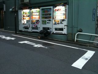写真(7)