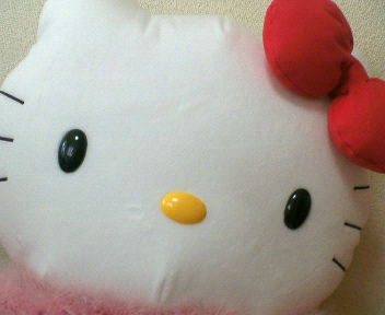 kitty