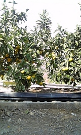 400d7a8b.jpg