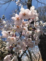 IMG_2790
