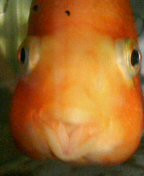 790045b0.jpg