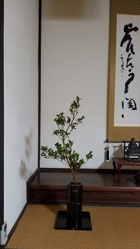 20180920_133418-1