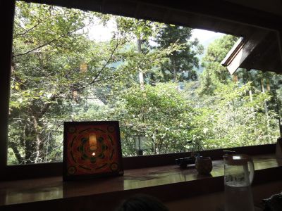 緑がきれい_400