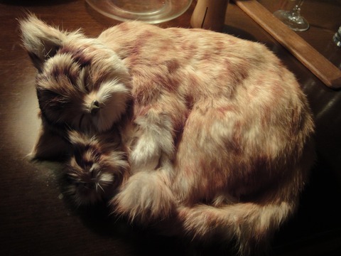 ねこちゃんがいますw