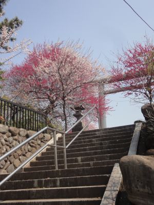 裏の階段から_400