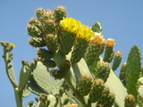 d7e64a94.JPG