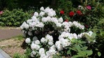 20170427_130654