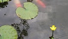 _20180712_163700