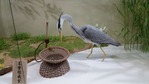 20170427_135231