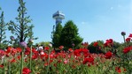 20170518_134810
