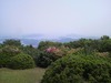 P1000226