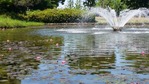20170518_135246