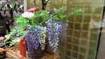 20170427_134836