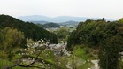 20170420_123245