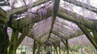 _20190425_135204