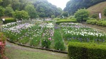 20170608_124232