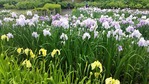 20170608_124334