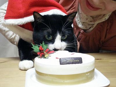 20091226121528