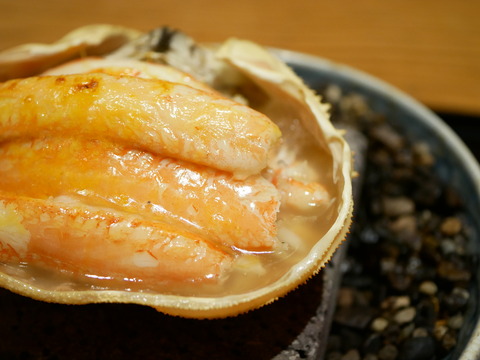 P1560702