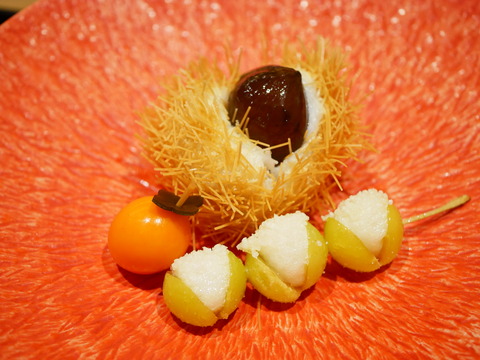 P1560637
