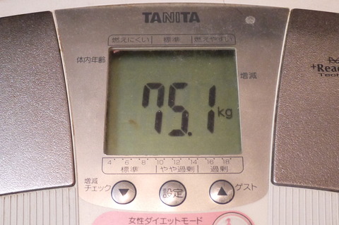 P1350412