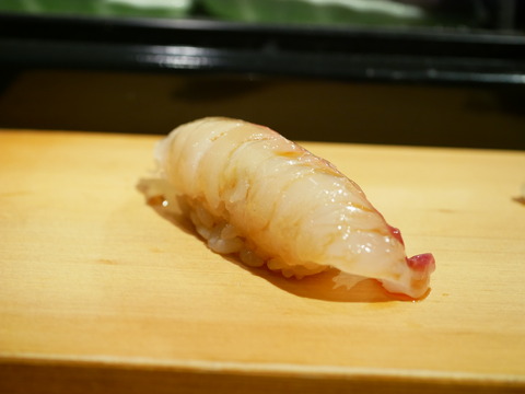 P1680808