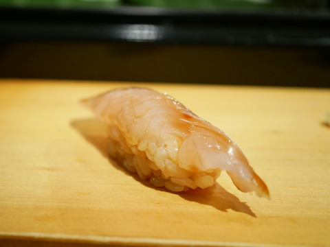 P1680797