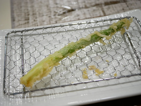 P1510883