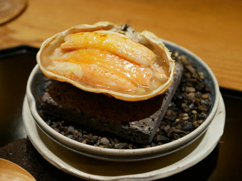 P1560693