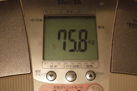 P1350335