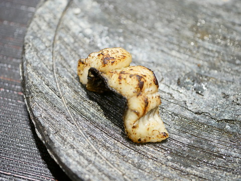P1030132