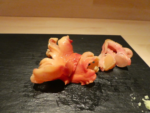 P1020404