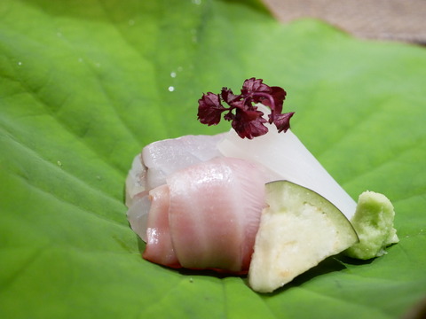 P1020311